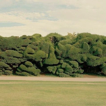 A cover of "nature" cluster. The owner is vincentvnh. The cluster consists of 47 elements.