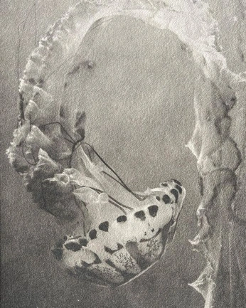 A cover of "Cnidários Malucos" cluster. The owner is pewlycosidae. The cluster consists of 4 elements.