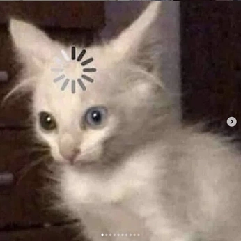 A cover of "pfp" cluster. The owner is bimbeanie. The cluster consists of 5 elements.