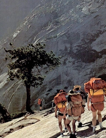 A cover of "General inspo" cluster. The owner is paulettechee. The cluster consists of 4 elements.