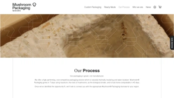 A cover of "Autonomy" cluster. The owner is sifromse15. The cluster consists of 2 elements.