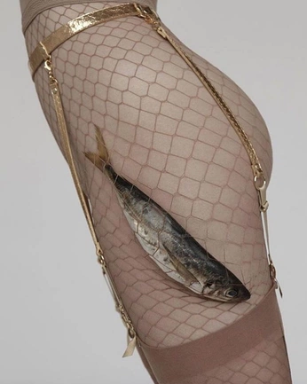 A cover of "circus freak" cluster. The owner is reaganfree. The cluster consists of 9 elements.