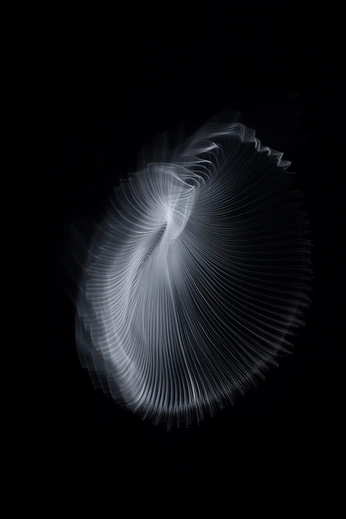 A cover of "Graphical organisms" cluster. The owner is injase. The cluster consists of 2 elements.