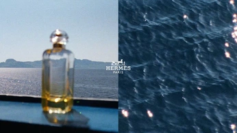 A cover of "Web Design" cluster. The owner is annakhaninyan. The cluster consists of 9 elements.