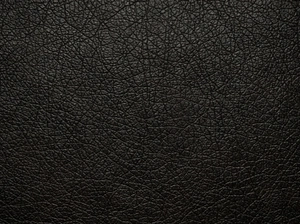 VICTOR ALEXANDER avatar