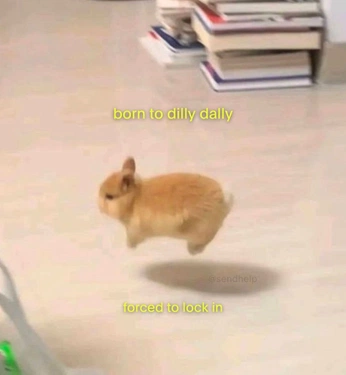 A cover of "Memes🌚🌝" cluster. The owner is jujuhearts. The cluster consists of 3 elements.