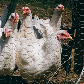 A cover of "ARCHIVE: cool staff" cluster. The owner is olena.re. The cluster consists of 245 elements.