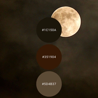 A cover of "Color Palettes" cluster. The owner is stxdarkytp. The cluster consists of 46 elements.