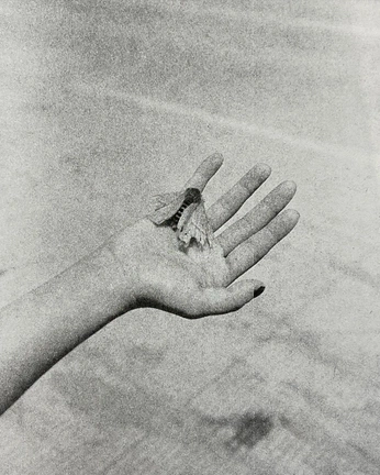 A cover of "imagens" cluster. The owner is monamarinho. The cluster consists of 127 elements.