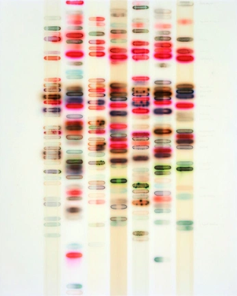 A cover of "Biology" cluster. The owner is itisalishadfire. The cluster consists of 176 elements.