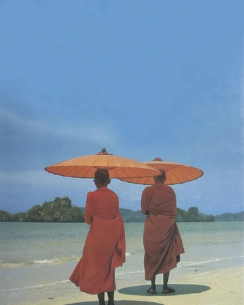 A cover of "ip" cluster. The owner is greyberrydraws. The cluster consists of 13 elements.