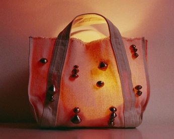 A cover of "bags" cluster. The owner is anapmgb. The cluster consists of 7 elements.