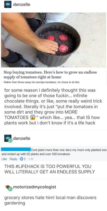 A cover of "Plants" cluster. The owner is vividorngff5e01. The cluster consists of 2 elements.