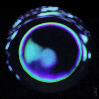 A cover of "maui" cluster. The owner is alexcayuela. The cluster consists of 7 elements.