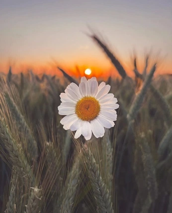 A cover of "Calm and clean face bar" cluster. The owner is thevibe10. The cluster consists of 9 elements.