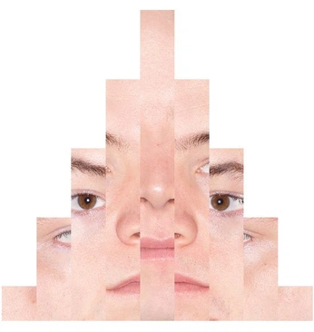 A cover of "Compose decompose" cluster. The owner is evanelmnr. The cluster consists of 19 elements.