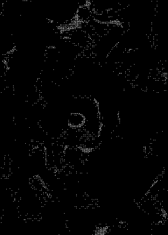 A cover of "ELEMENTOS PARA EDITS" cluster. The owner is kirving. The cluster consists of 2 elements.