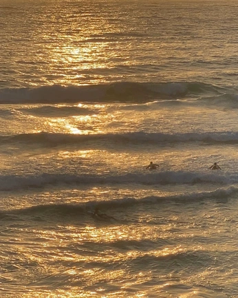 A cover of "vibe" cluster. The owner is anastary. The cluster consists of 1 element.