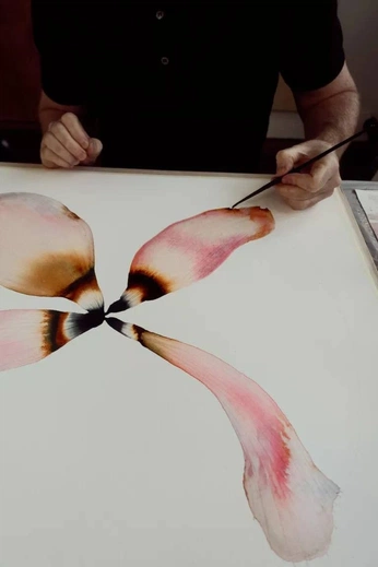 A cover of "experimental" cluster. The owner is ellen.hl. The cluster consists of 16 elements.