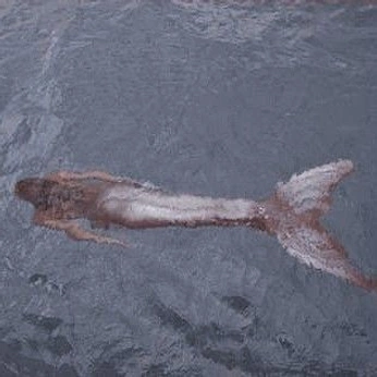 A cover of "mermaid" cluster. The owner is elsivia.inspo. The cluster consists of 75 elements.