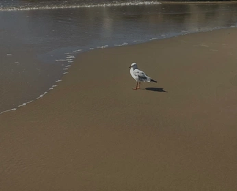 A cover of "My energy" cluster. The owner is baklawagirl. The cluster consists of 1 element.