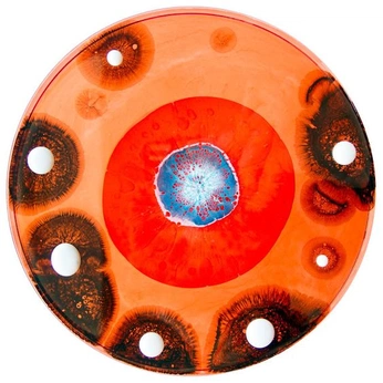 A cover of "material" cluster. The owner is vici.jpg. The cluster consists of 11 elements.