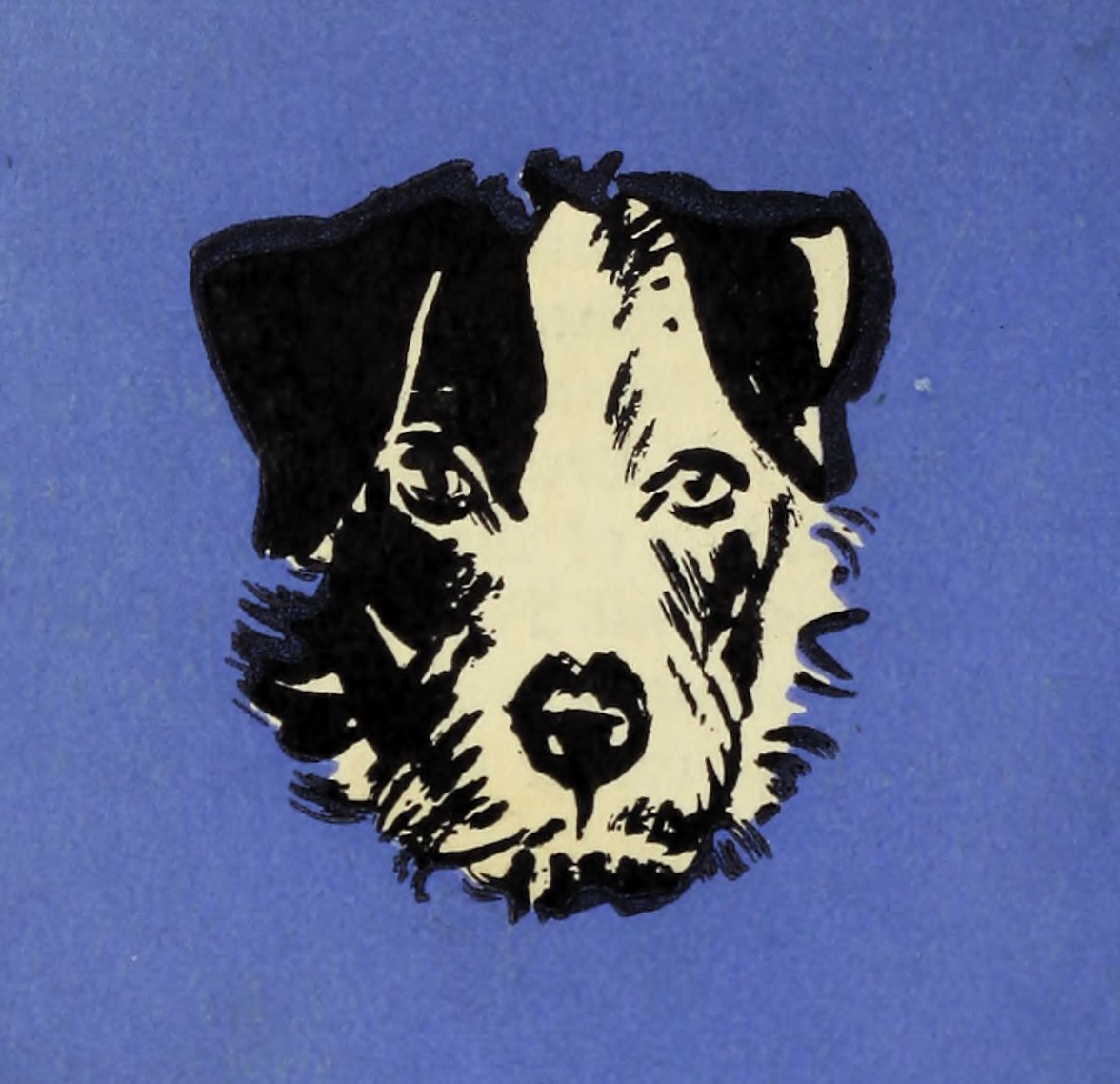 An image uploaded by lucasworcel on Nov 29, 2023. May present: dog, sleeve, art, font, rectangle.