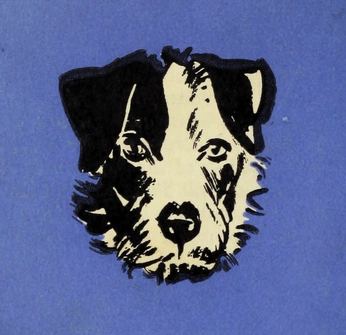 A cover of "elsie" cluster. The owner is capoodlenoodles. The cluster consists of 2 elements.