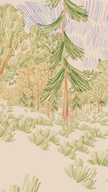 A cover of "Natureza_Desenho&Pintura" cluster. The owner is soturnalia. The cluster consists of 13 elements.