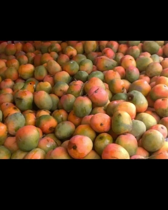 A cover of "brasil" cluster. The owner is larissalmeida. The cluster consists of 11 elements.