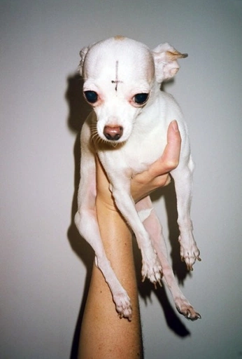 A cover of "deep feelings" cluster. The owner is valrox. The cluster consists of 2 elements.