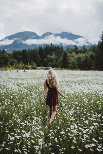 A cover of "one" cluster. The owner is omni72. The cluster consists of 531 elements.