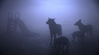 A cover of "wolves" cluster. The owner is wolfrik. The cluster consists of 7 elements.