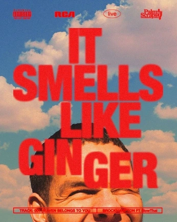 A cover of "Tipografia - Portifólio" cluster. The owner is julianelha. The cluster consists of 1 element.