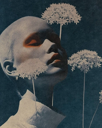 A cover of "artsy." cluster. The owner is brainszs. The cluster consists of 30 elements.