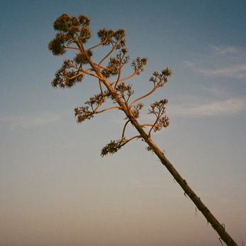 A cover of "OUTER" cluster. The owner is letemple. The cluster consists of 24 elements.