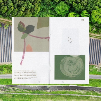 A cover of "portfolio" cluster. The owner is jana.sophie. The cluster consists of 2 elements.