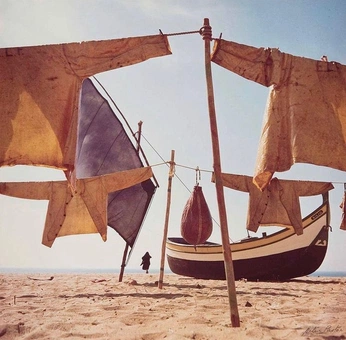 A cover of "Historical ships" cluster. The owner is thesoftanimal. The cluster consists of 9 elements.