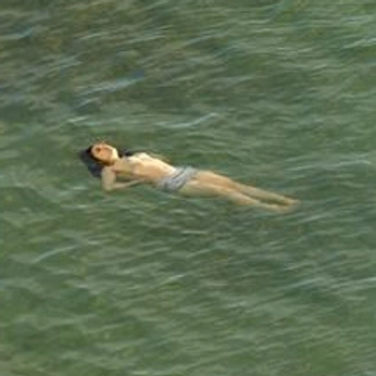 A cover of "💚" cluster. The owner is laureen8. The cluster consists of 26 elements.