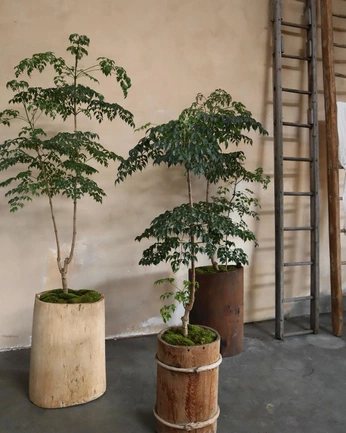 A cover of "props/fixtures" cluster. The owner is tierrart. The cluster consists of 5 elements.