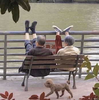 A cover of "Daily Life" cluster. The owner is hieunht96. The cluster consists of 26 elements.