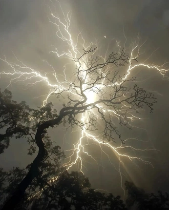 A cover of "The elements" cluster. The owner is saraelsehrawy. The cluster consists of 26 elements.