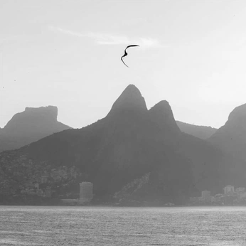 A cover of "rio" cluster. The owner is blumen. The cluster consists of 14 elements.