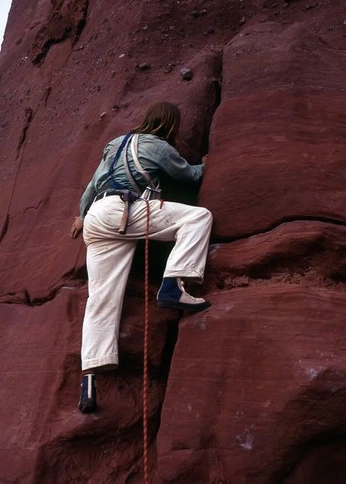 A cover of "Climbing" cluster. The owner is pulluptheroots. The cluster consists of 48 elements.