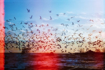 A cover of "colors" cluster. The owner is knowingsammie. The cluster consists of 6 elements.