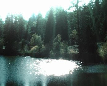 A cover of "digicam" cluster. The owner is thehazenator. The cluster consists of 64 elements.