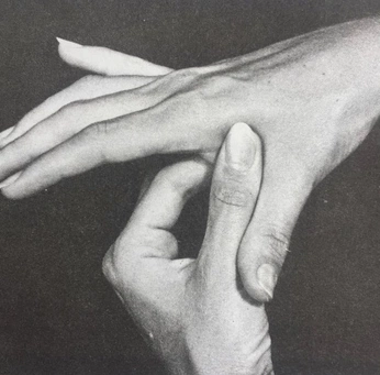 A cover of "Hands language" cluster. The owner is mon.moon. The cluster consists of 57 elements.