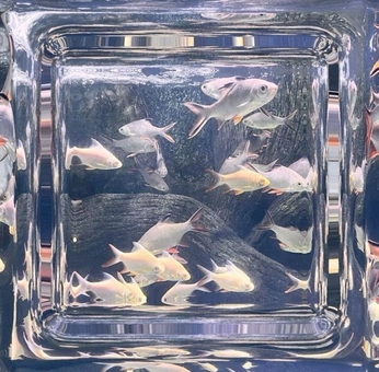 A cover of "Glass block" cluster. The owner is northium. The cluster consists of 9 elements.