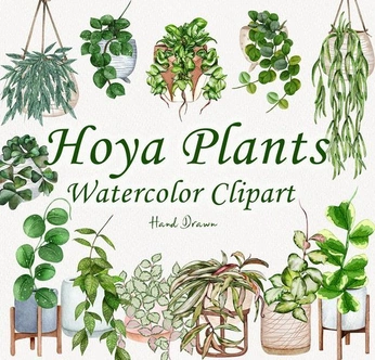 A cover of "Green Thumb Gallery" cluster. The owner is lunasluxetravels. The cluster consists of 120 elements.