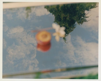 A cover of "Photography" cluster. The owner is catezeta. The cluster consists of 1 element.